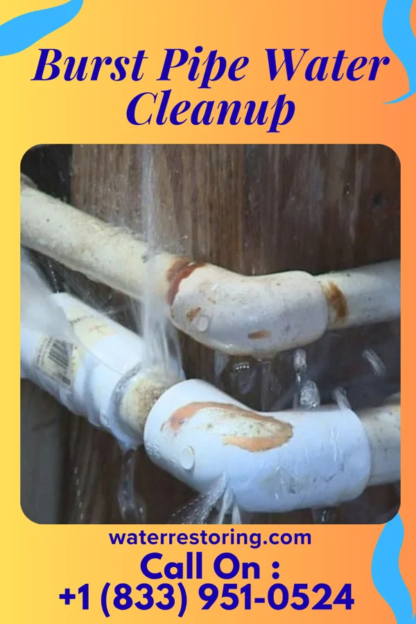 Burst Pipe Water Cleanup in Southport, IN