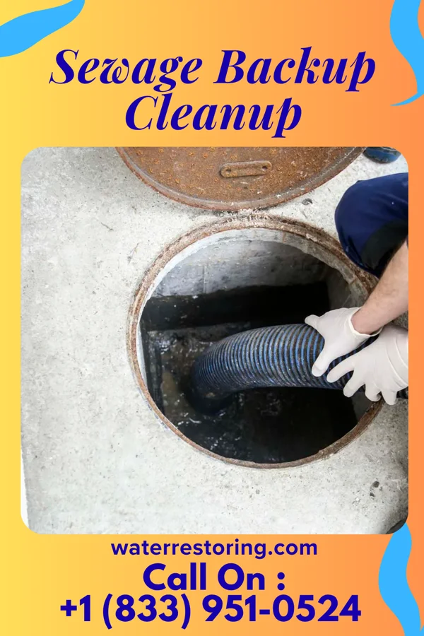 Sewage Backup Cleanup in Southport, IN